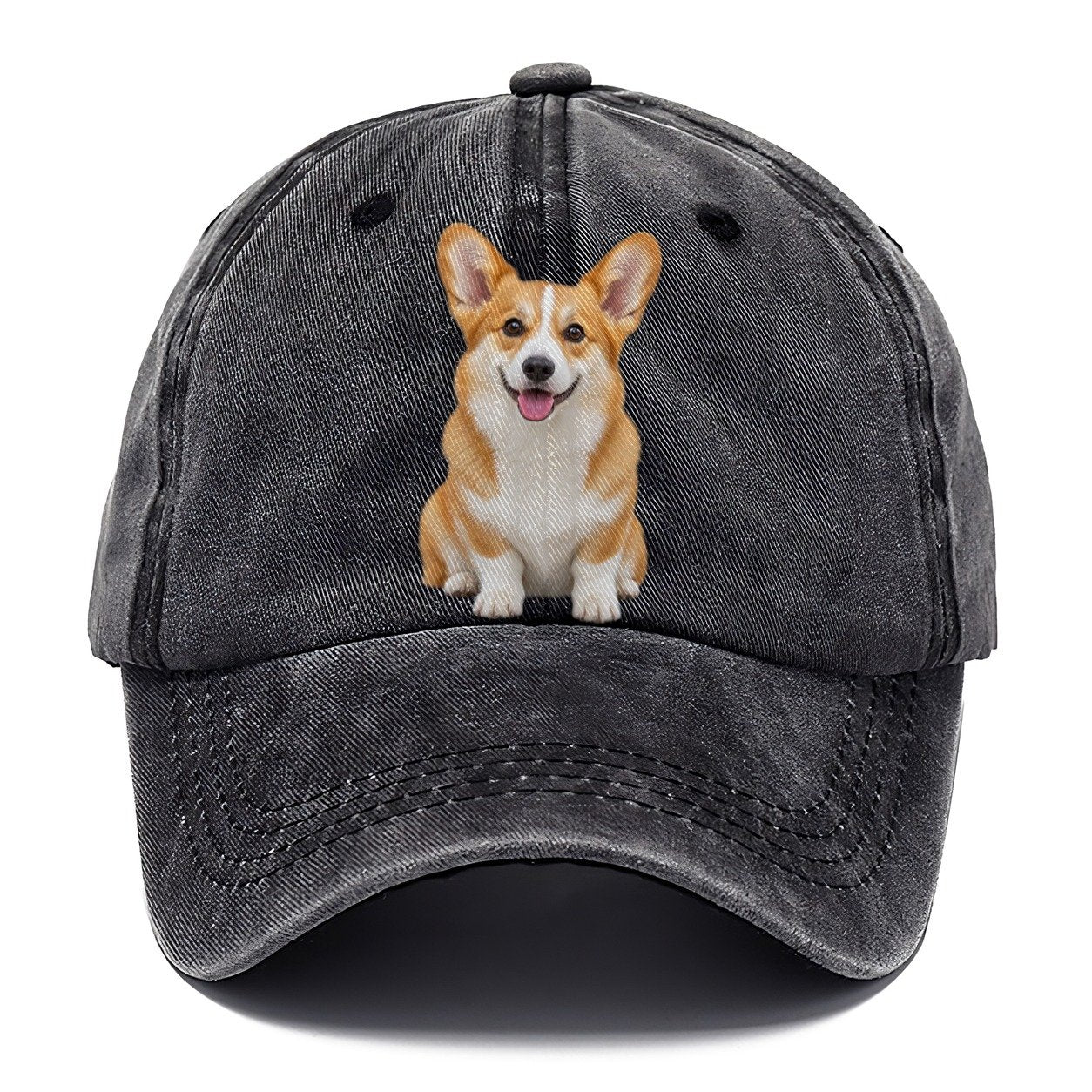 Pembroke Welsh Corgi Sitting Top Breeds Classic Cap – Graphite