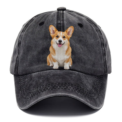 Pembroke Welsh Corgi Sitting Top Breeds Classic Cap – Graphite