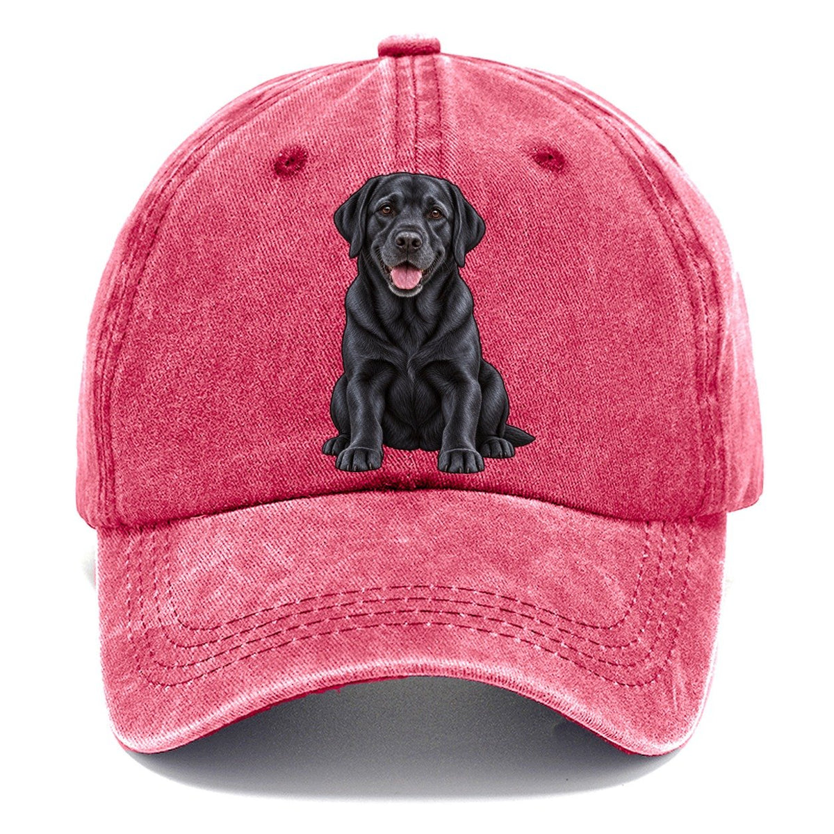 Black Labrador Sitting Classic Cap – Pomegranate Blush