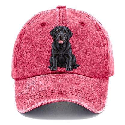 Black Labrador Sitting Classic Cap – Pomegranate Blush