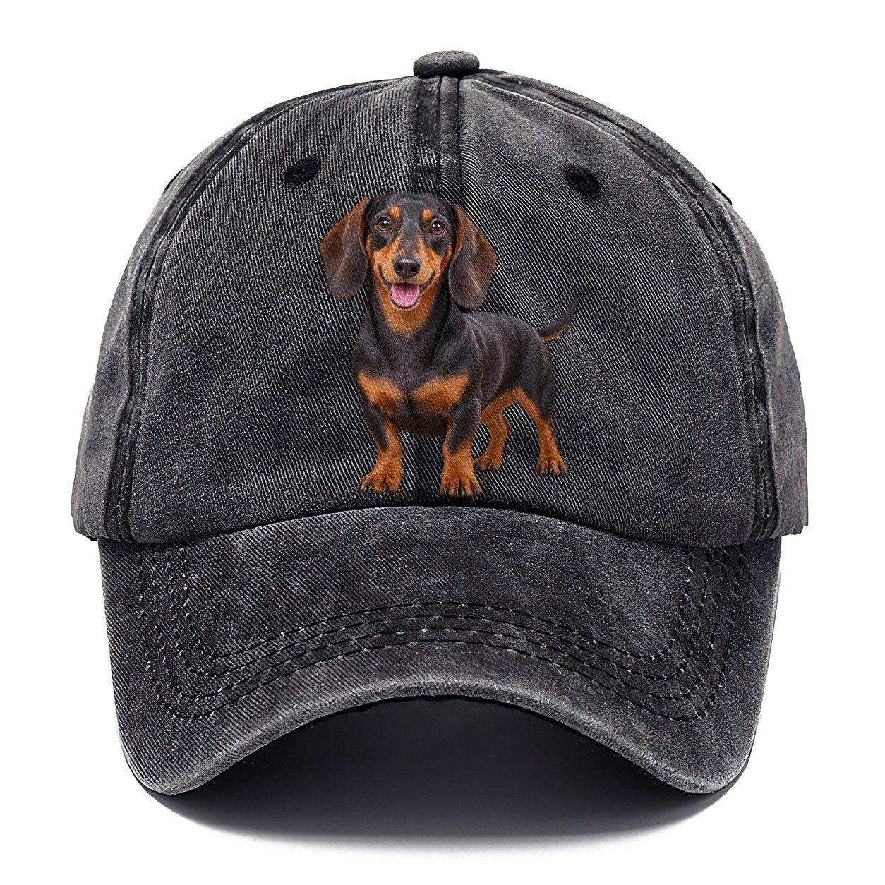 Dachshund Standing Top Breeds Classic Cap – Graphite