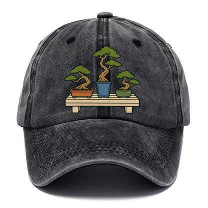 Bench Of Three Pots Bonsai Classic Cap – Graphite