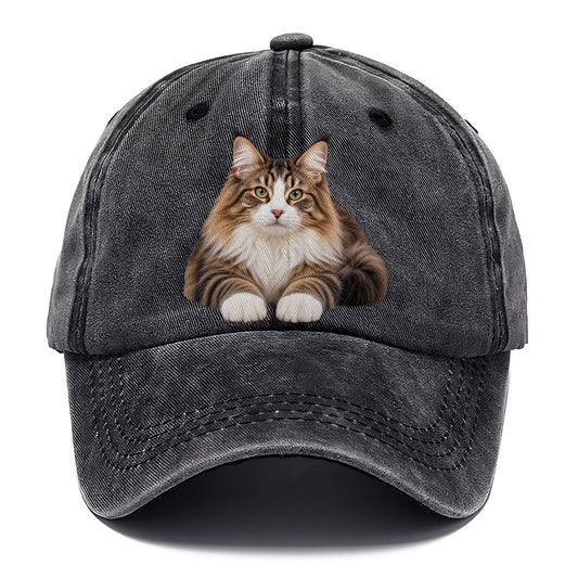 Norwegian Forest Cat Reclining Paws Forward Realistic Cat Portrait Classic Cap – Graphite