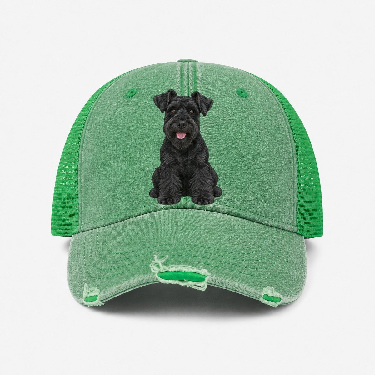 Ink Green — front view