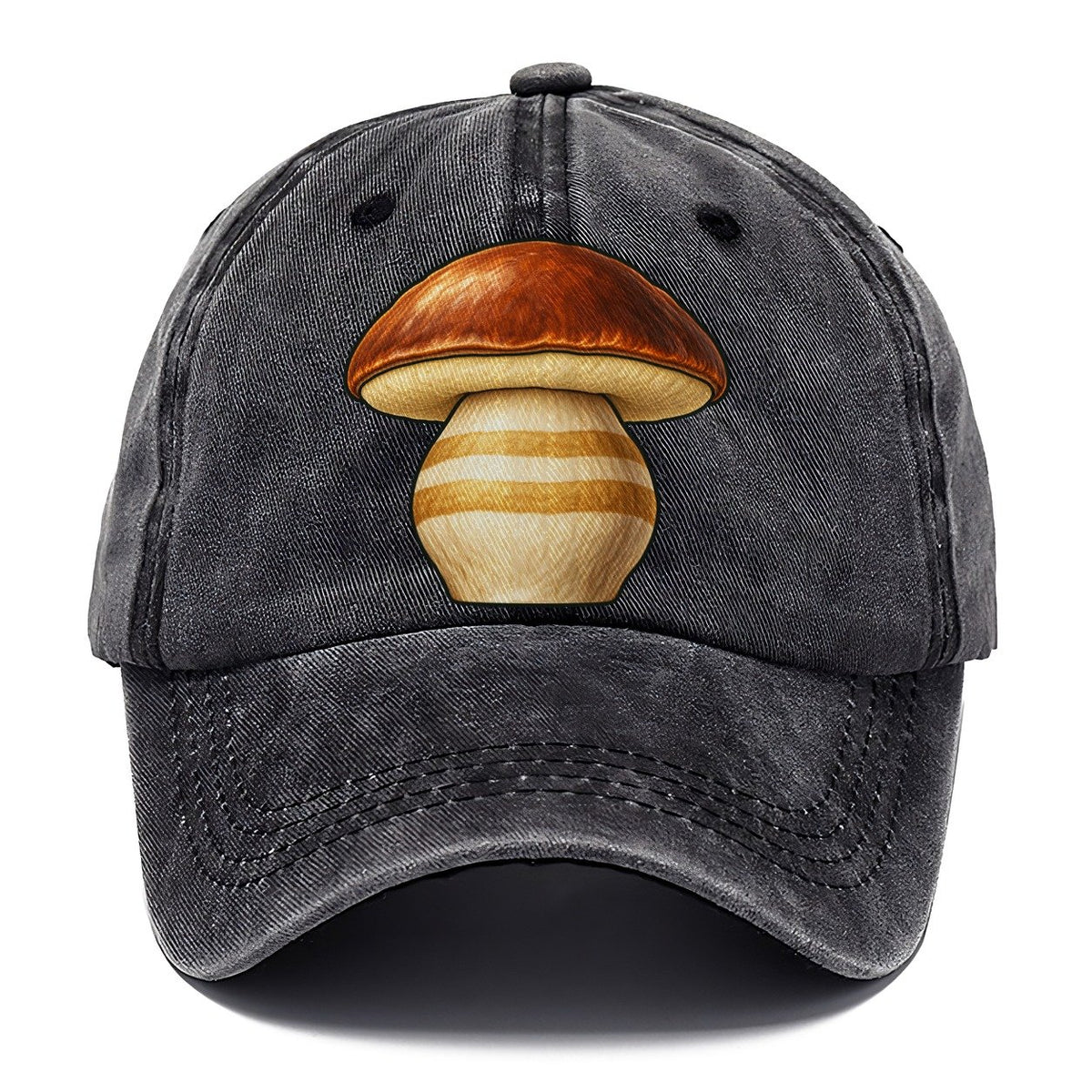 Bolete Hero Study Foraging And Mycology Classic Cap – Graphite
