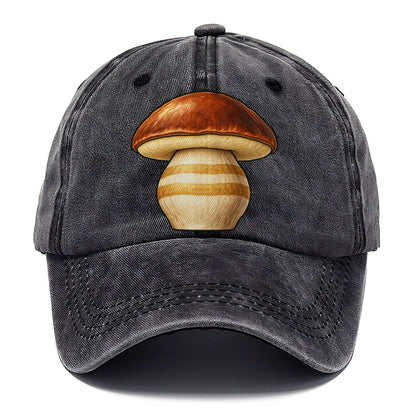 Bolete Hero Study Foraging And Mycology Classic Cap – Graphite