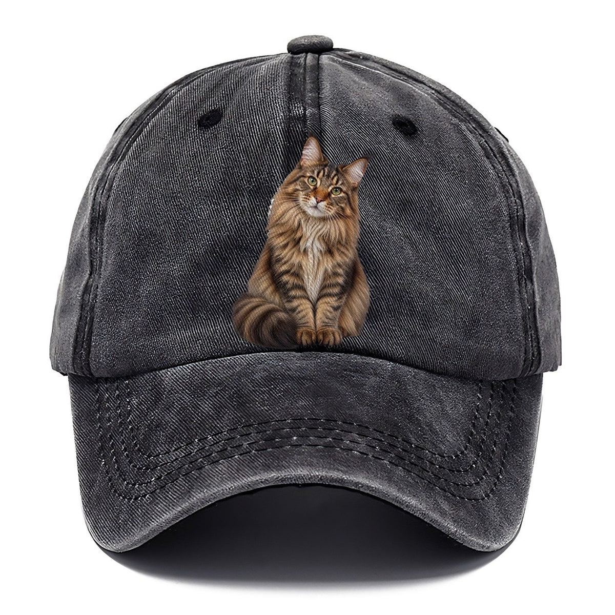 Maine Coon Seated Portrait Realistic Cat Portrait Classic Cap – Graphite
