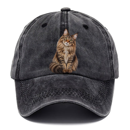 Maine Coon Seated Portrait Realistic Cat Portrait Classic Cap – Graphite