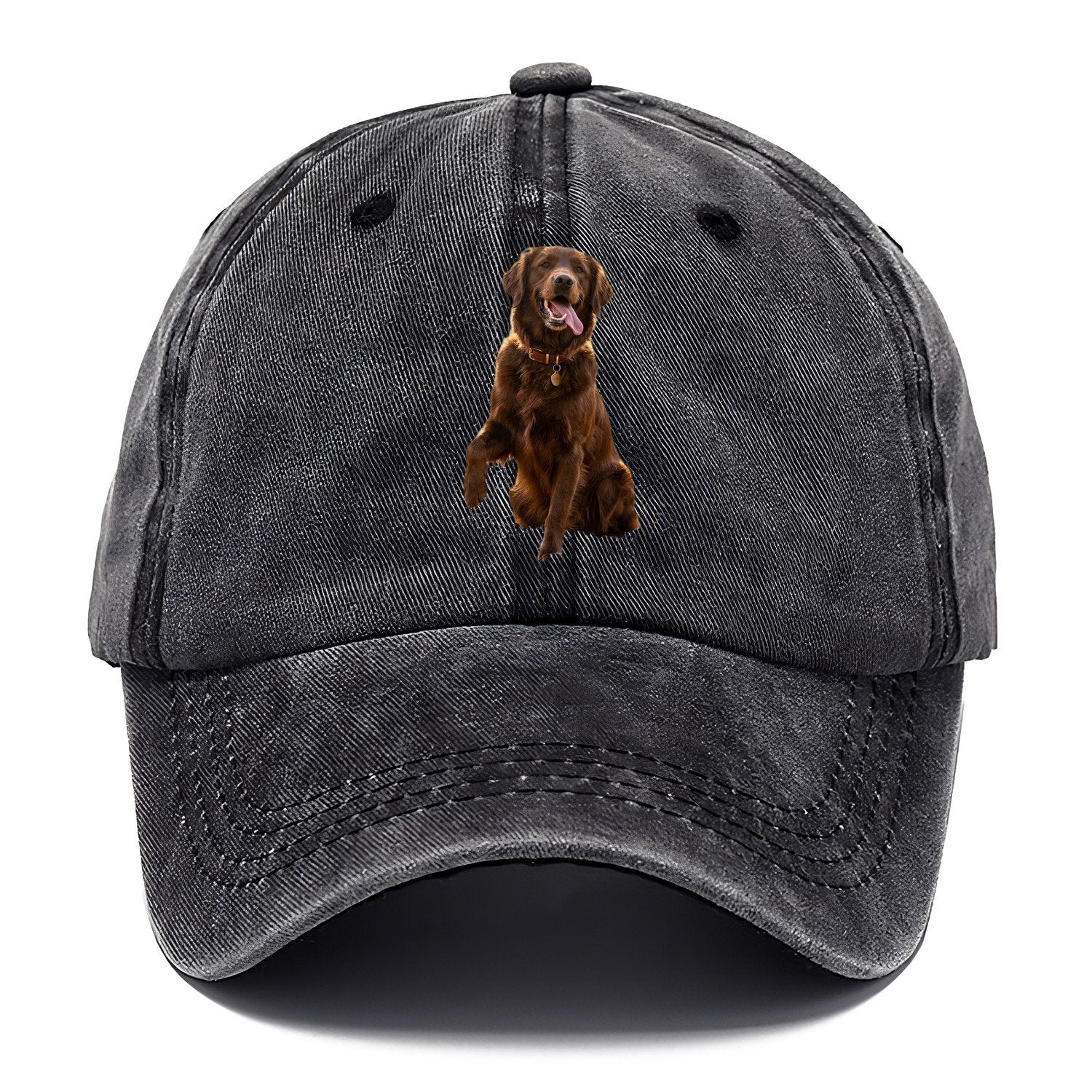 Dark Retriever Classic Cap – Graphite