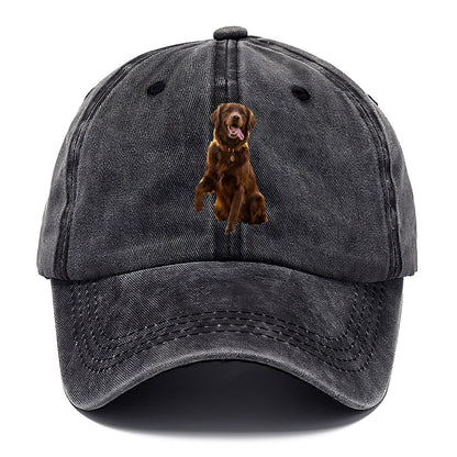 Dark Retriever Classic Cap – Graphite