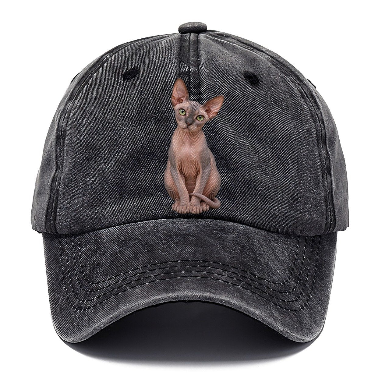 Sphynx Seated Portrait Realistic Cat Portrait Classic Cap – Graphite