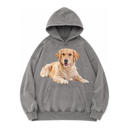 Golden Retriever Laying Dow Vintage Washed Hoodie – Grey