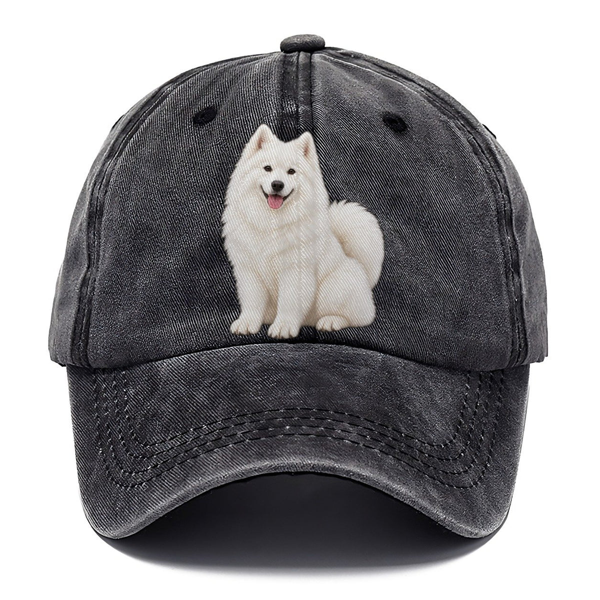 Samoyed Classic Cap – Graphite