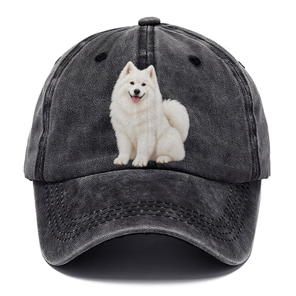 Samoyed Classic Cap – Graphite