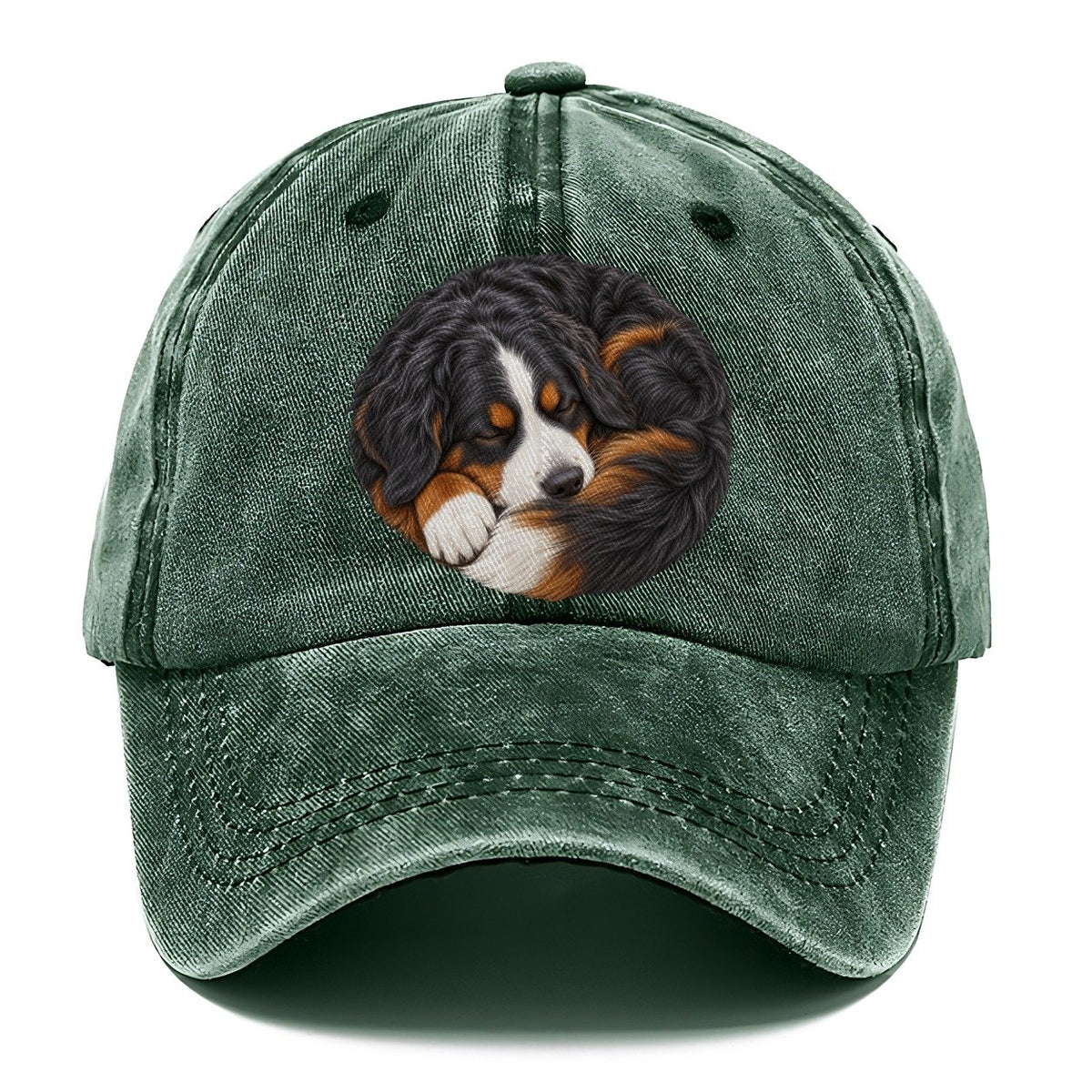 Bernese Round Hearth Nap Pastimes Companions Classic Cap – Forest Mist
