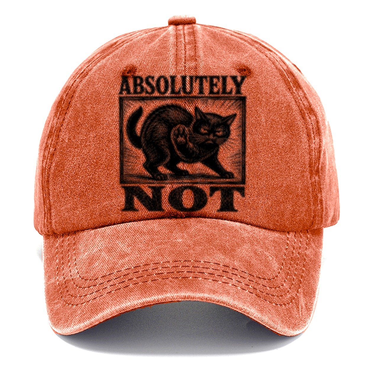 Absolutely Not Classic Cap – Terracotta Clay