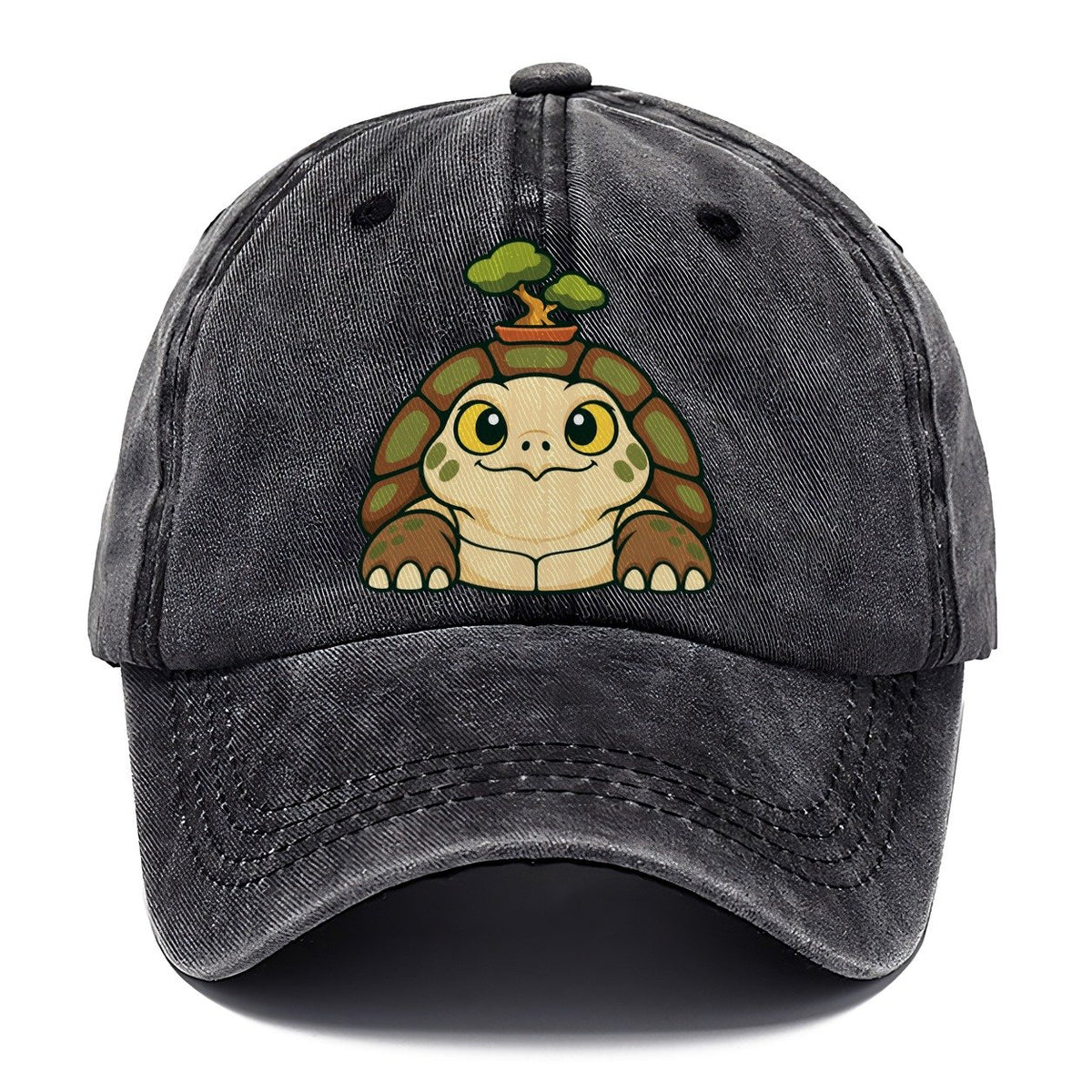 Bench Tortoise Bonsai Classic Cap – Graphite