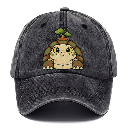 Bench Tortoise Bonsai Classic Cap – Graphite