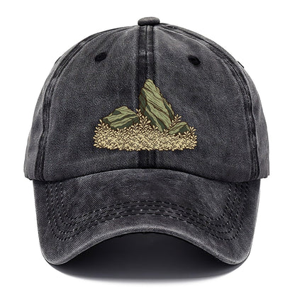 Stone And Carpet Aquascape Aquarium Keeping Classic Cap – Graphite