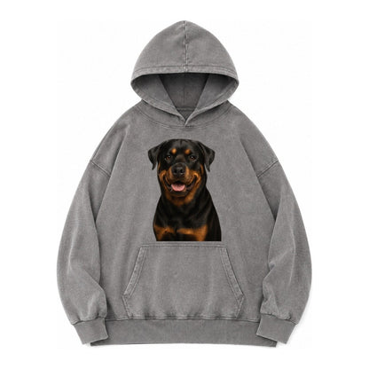 Rottweiler Powerful Guardian Vintage Washed Hoodie – Grey