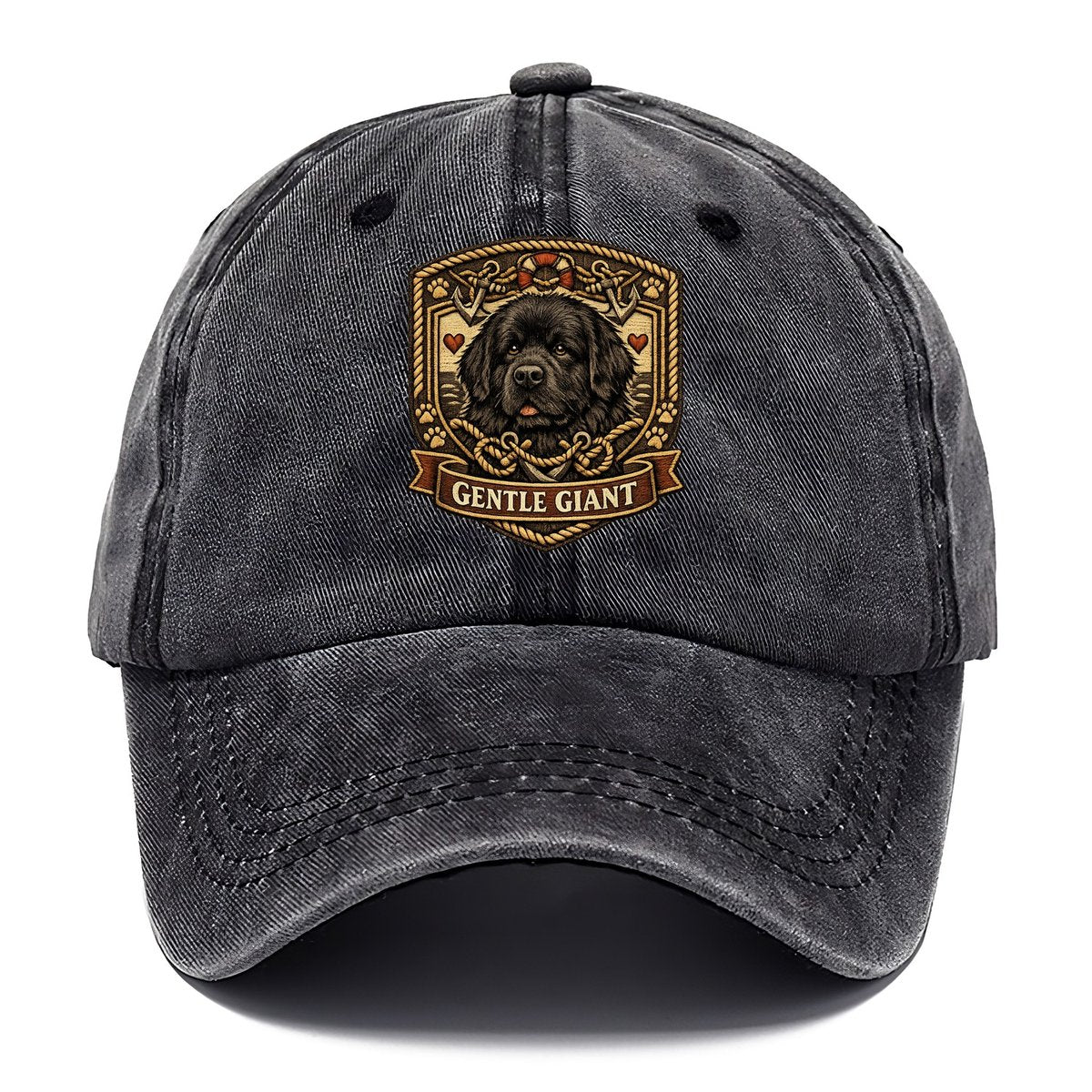Inked Newfoundland Classic Cap – Graphite