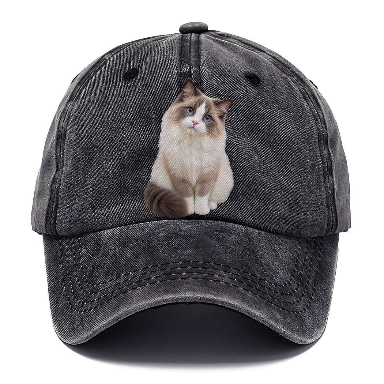 Ragdoll Seated Portrait Realistic Cat Portrait Classic Cap – Graphite
