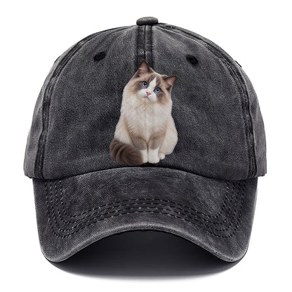 Ragdoll Seated Portrait Realistic Cat Portrait Classic Cap – Graphite