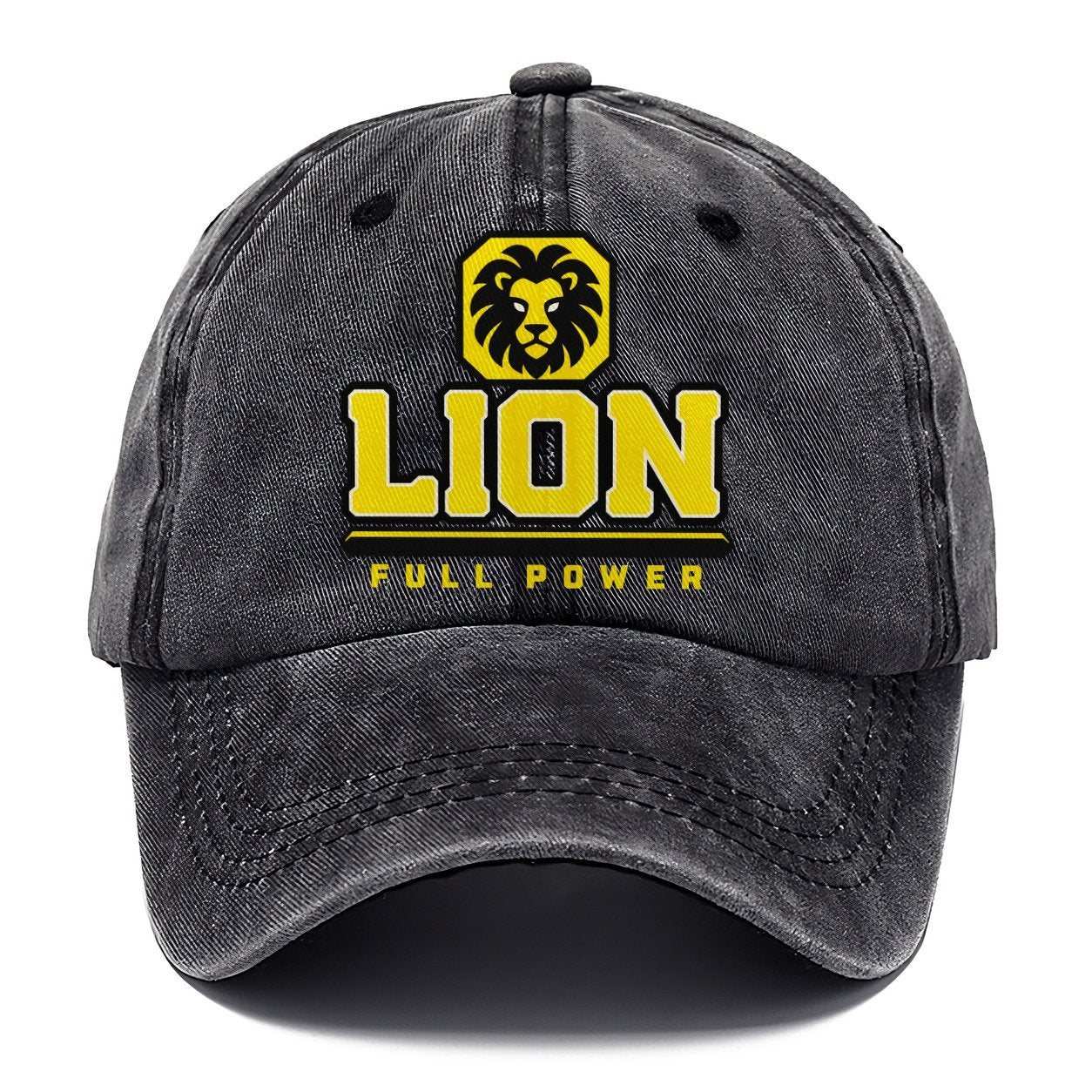Lion Full Power Heavy Duty Classic Cap – Graphite