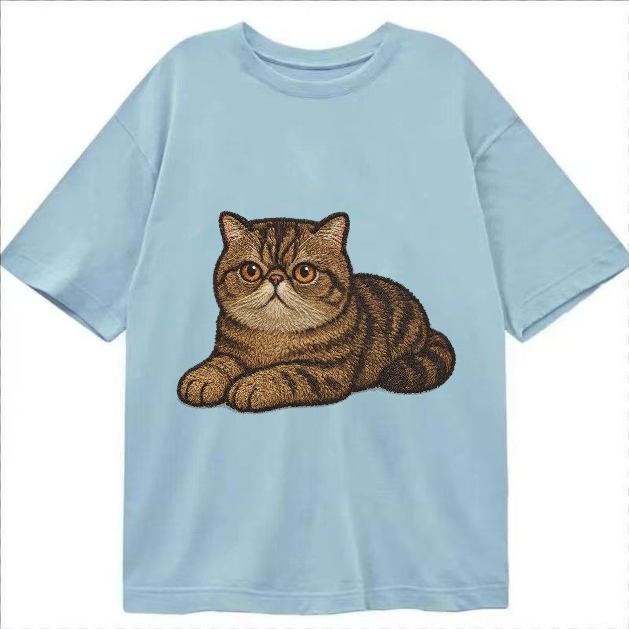 Exotic Shorthair Flat Face Plush Coat Relaxed Lying Down Wit Classic T-shirt – Light Blue
