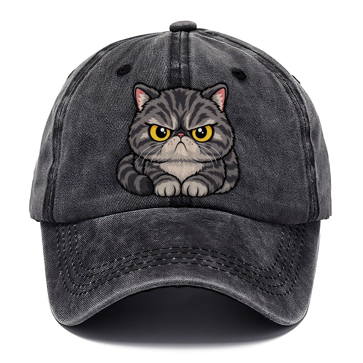 Exotic Shorthair Grumpy Sit Peeking Cats Classic Cap – Graphite