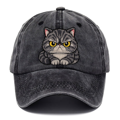 Exotic Shorthair Grumpy Sit Peeking Cats Classic Cap – Graphite