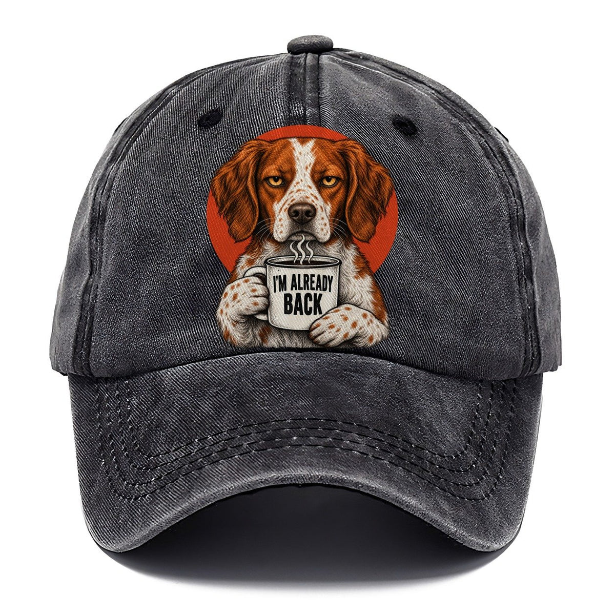 Brittany Mug Truths Dog Mug Truths Classic Cap – Graphite