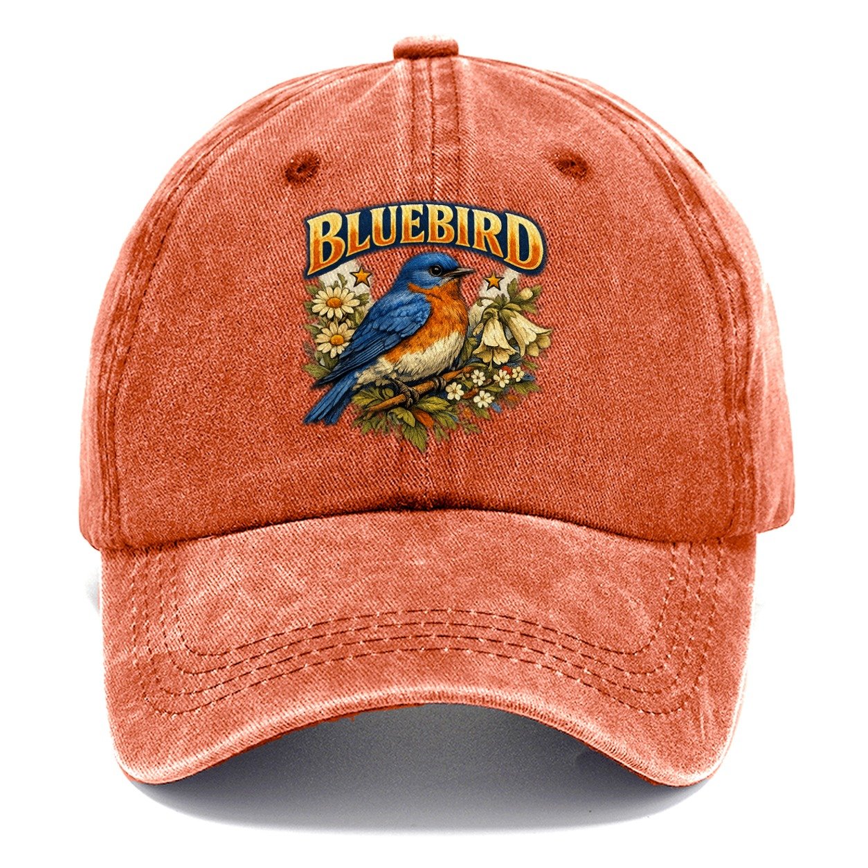 Bluebird Classic Cap – Terracotta Clay