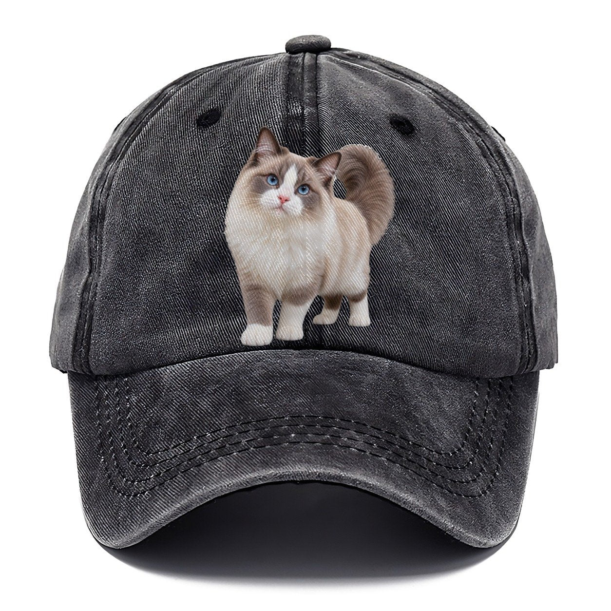 Ragdoll Standing Three Quarter Realistic Cat Portrait Classic Cap – Graphite