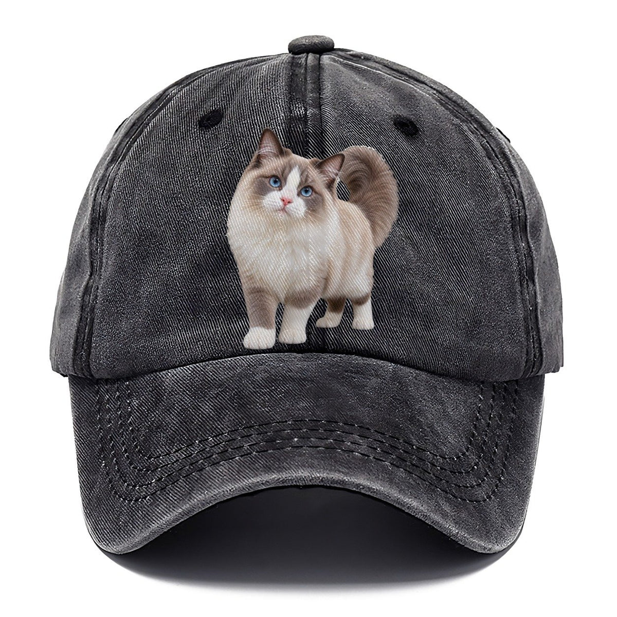 Ragdoll Standing Three Quarter Realistic Cat Portrait Classic Cap – Graphite