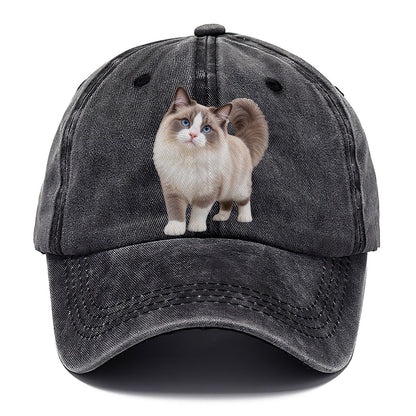 Ragdoll Standing Three Quarter Realistic Cat Portrait Classic Cap – Graphite