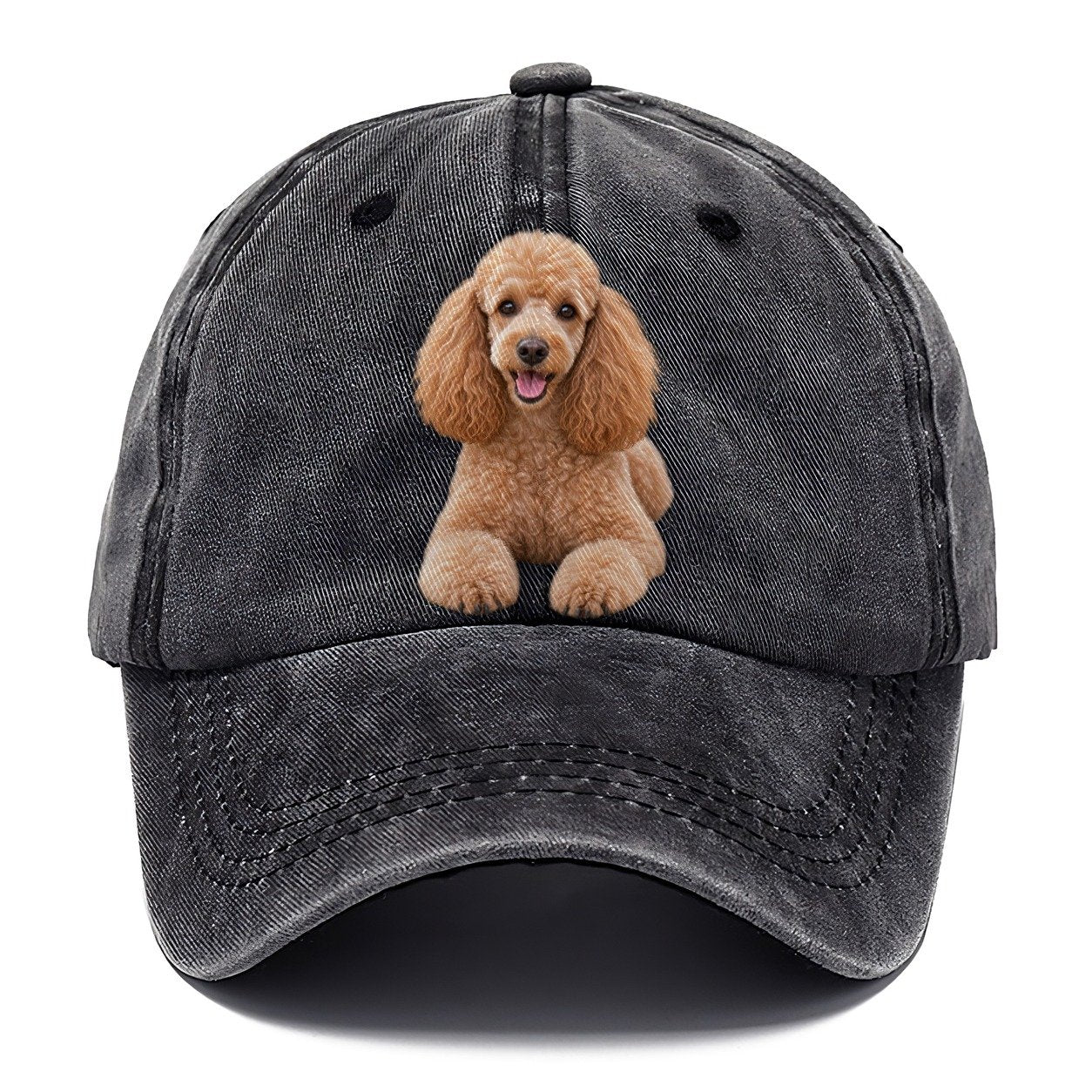 Poodle Sitting Top Breeds Classic Cap – Graphite