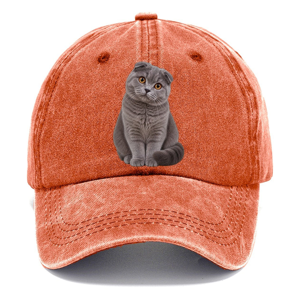 Scottish Fold Seated Portrait Realistic Cat Portrait Classic Cap – Terracotta Clay