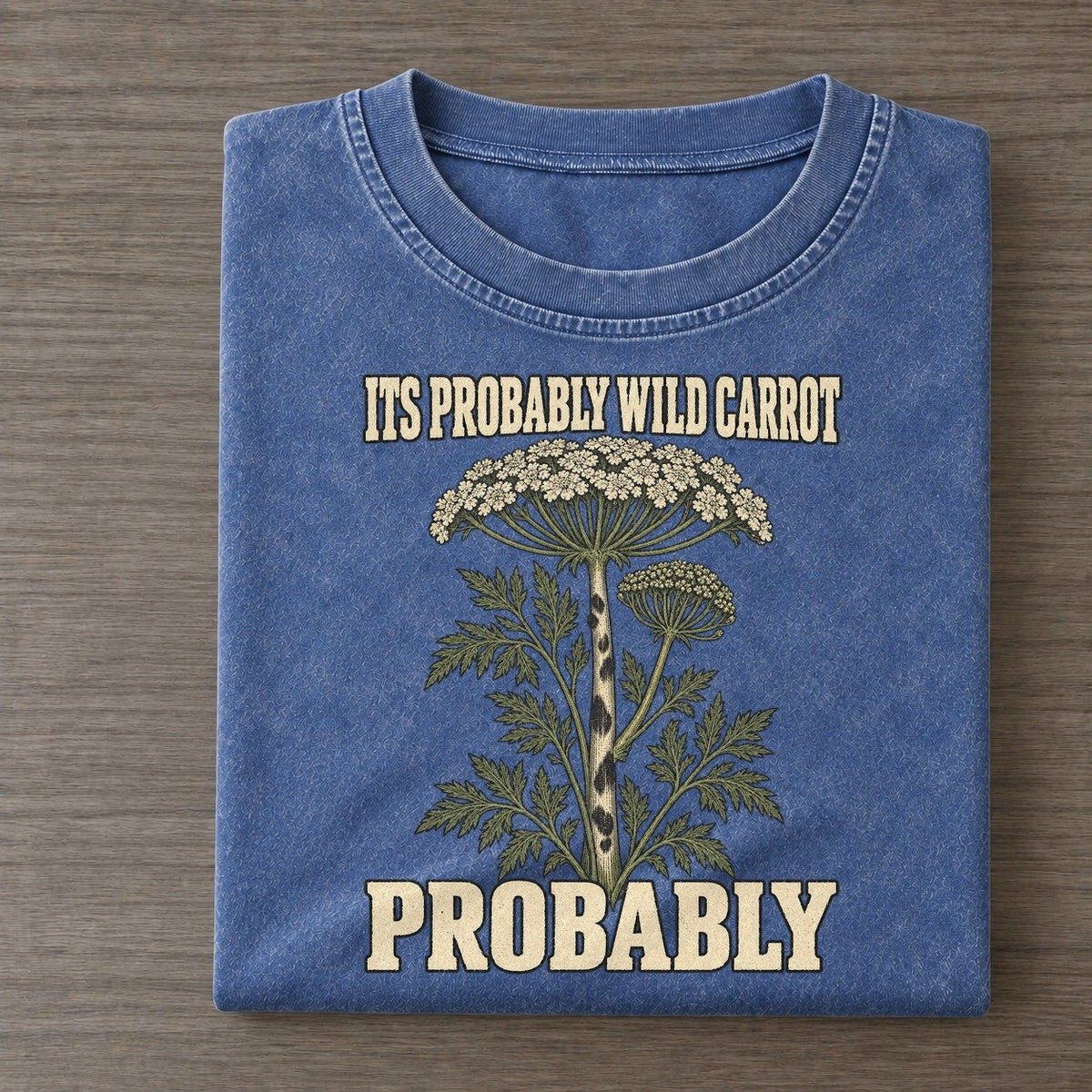 Probably Botanical Warnings Vintage T-shirt – Washed Blue