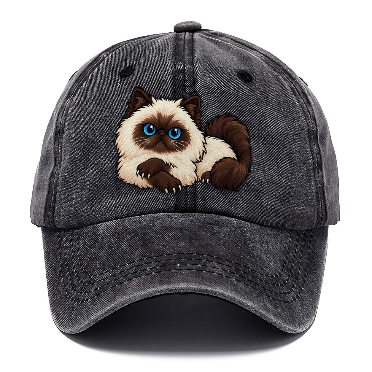 Himalayan Lounging Peeking Cats Classic Cap – Graphite