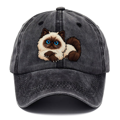 Himalayan Lounging Peeking Cats Classic Cap – Graphite