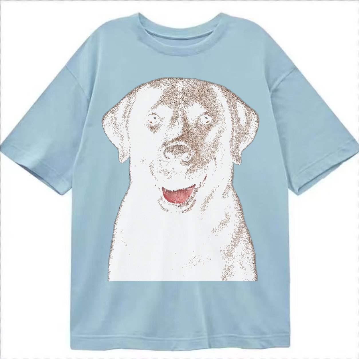 Labrador Friendly Family Classic T-shirt – Light Blue