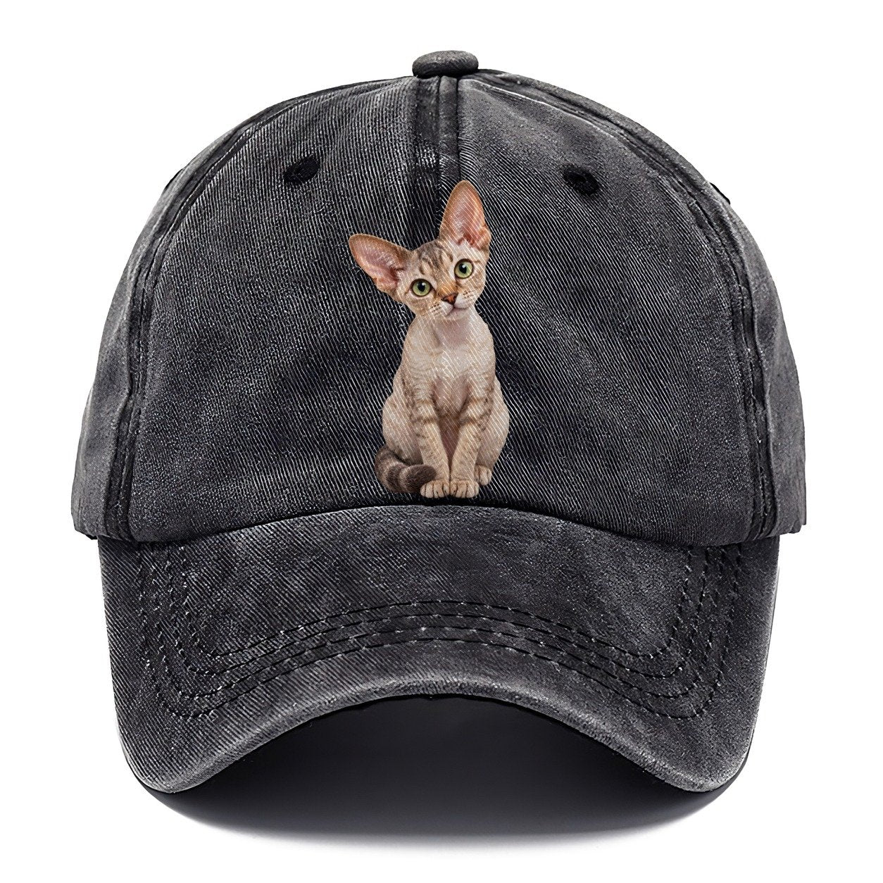 Devon Rex Seated Portrait Realistic Cat Portrait Classic Cap – Graphite