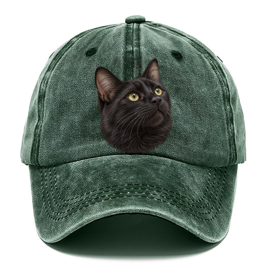 Black Cat Upturned Whiskers Pastimes Companions Classic Cap – Forest Mist