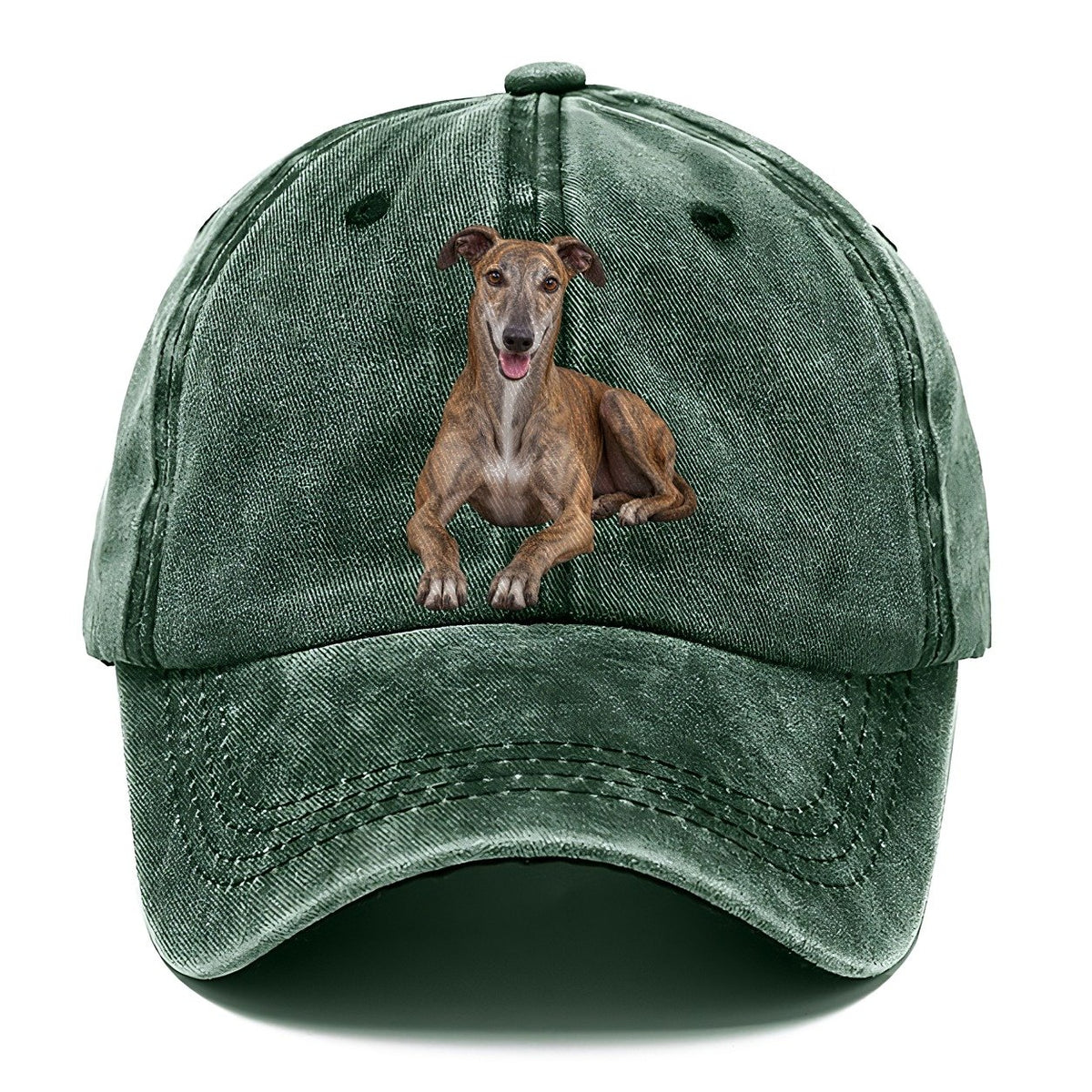 Greyhound Lying Down Top Breeds Classic Cap – Forest Mist