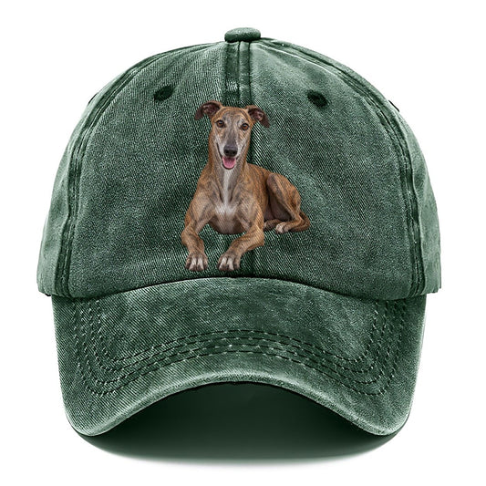 Greyhound Lying Down Top Breeds Classic Cap – Forest Mist