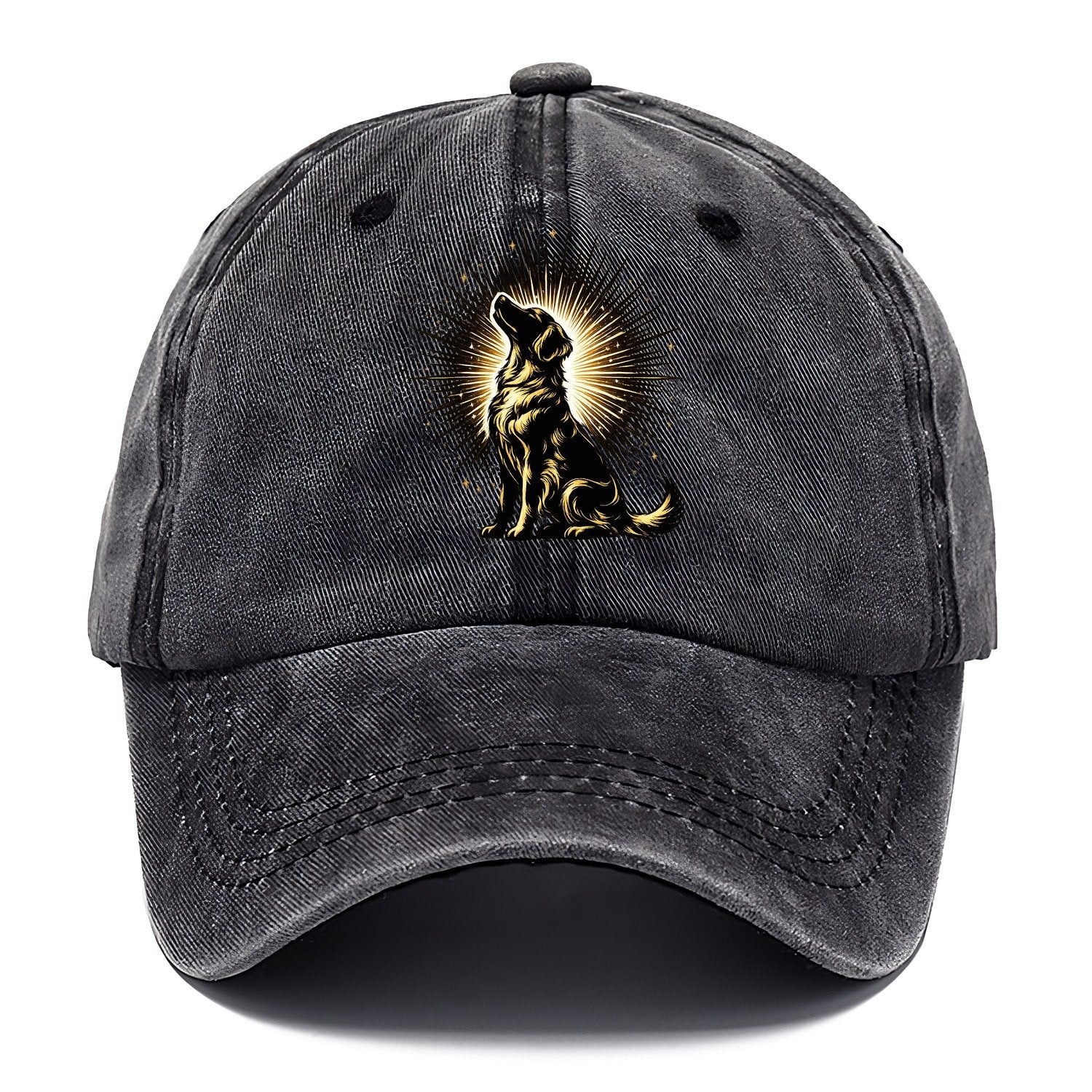 Golden Retriever Sunburst Classic Cap – Graphite