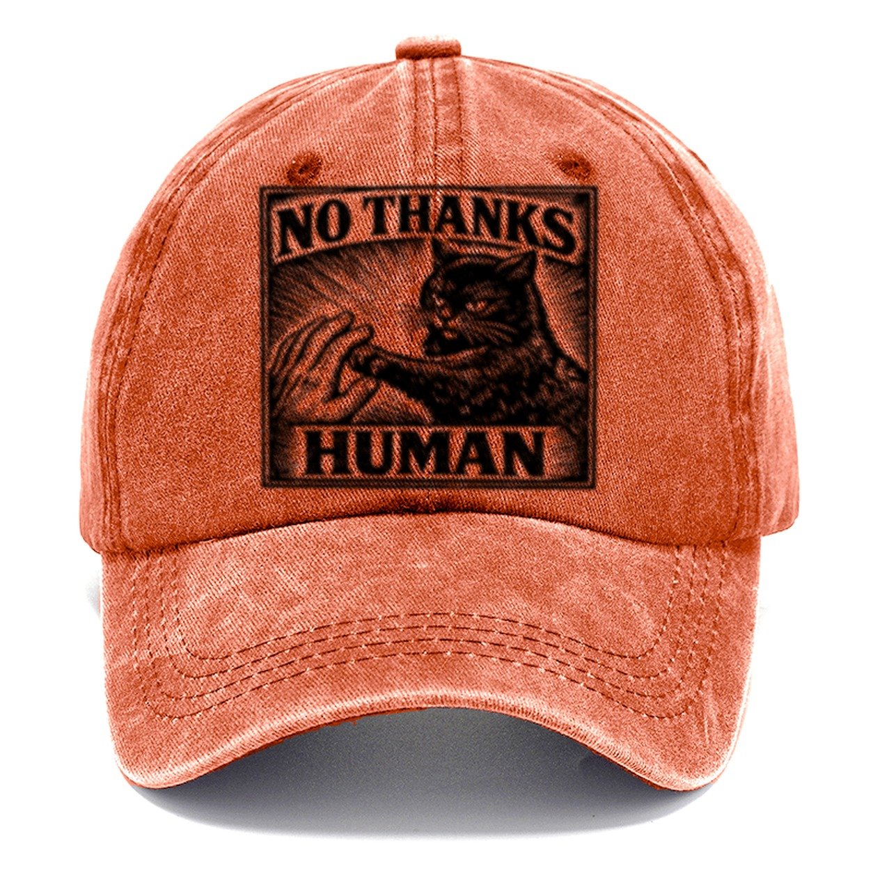 No Thanks Human Classic Cap – Terracotta Clay