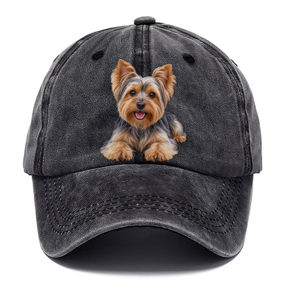 Yorkshire Terrier Lying Down Top Breeds Classic Cap – Graphite