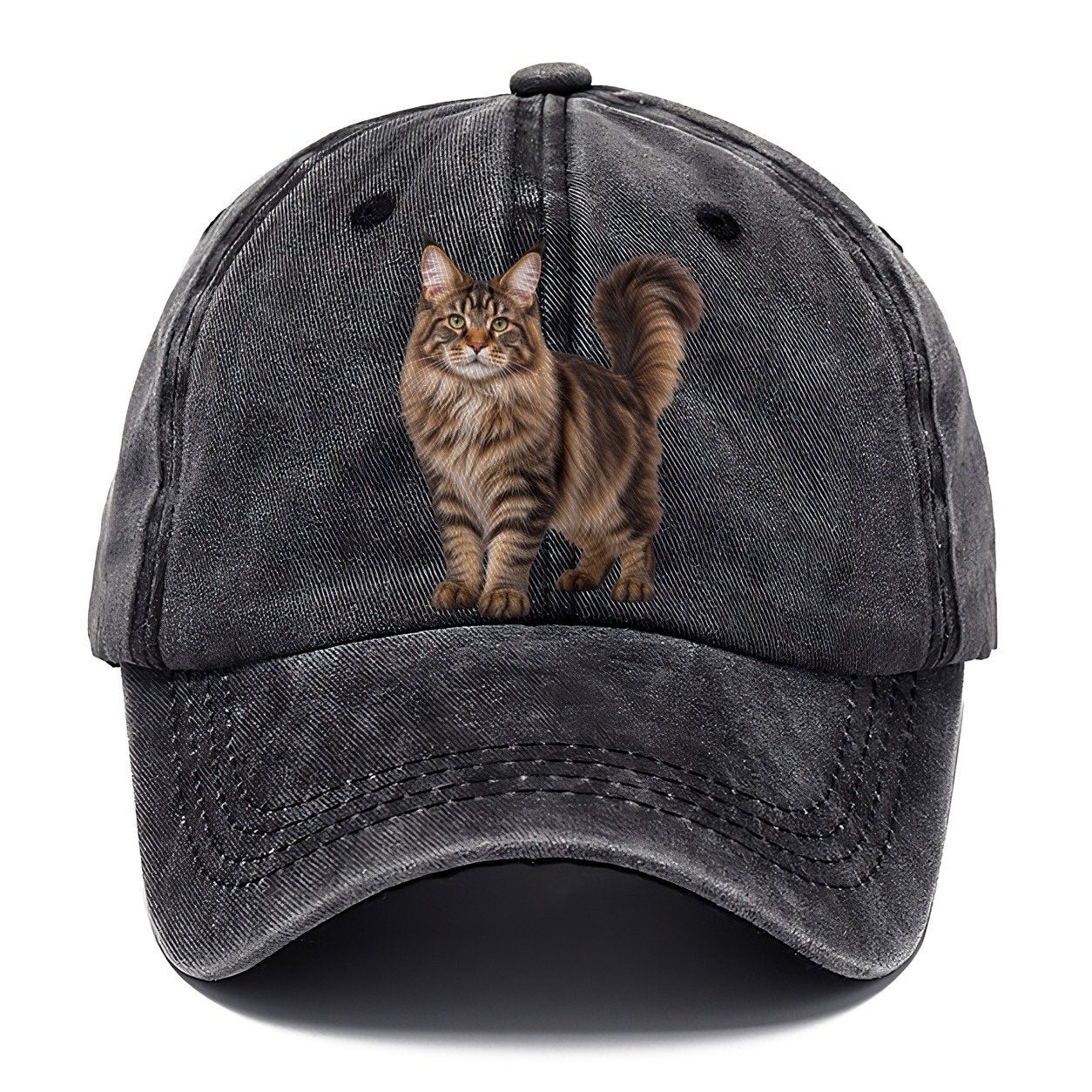 Maine Coon Standing Three Quarter Realistic Cat Portrait Classic Cap – Graphite